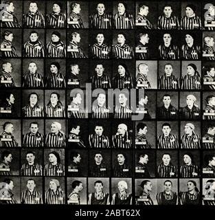 Fotos der Opfer von Völkermord in Auschwitz-Birkenau Stockfoto