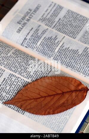 Alte Bibel mit einem trockenen Blatt öffnen. Frankreich. Stockfoto