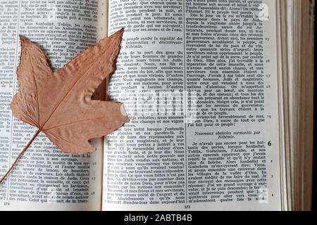 Alte Bibel mit einem trockenen Blatt öffnen. Frankreich. Stockfoto