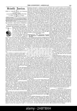 Der Scientific American. 361 MUNN & UNTERNEHMEN Herausgeber und Eigentümer. An Nr. 37 Park-Reihe (Park Gebäude), New York, 1860-06-02 Stockfoto