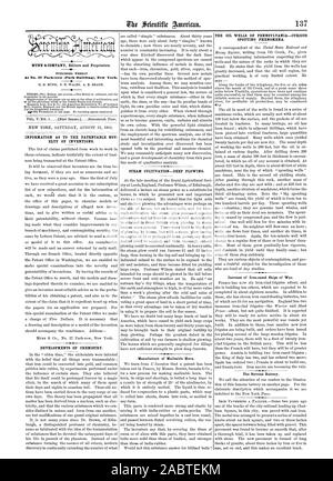 137 an Nr. 37 Park-Reihe (Park Gebäude) New York. Informationen über die PATENTIERBAR NOV ELTY VON ERFINDUNGEN. Entwicklungen der Chemie. Dampf CULTIVATIONDEEP Pflügen. Herstellung von Tempergussfittings Horn. Die ÖLQUELLEN VON PENNSYLVANIA - neugierig herauszuspritzen Phänomene. Erhöhung des Eisens - Cased der Kriegsschiffe. Das Stevens Batterie. 1861 Scientific American Inc., 1861-08-31 Stockfoto