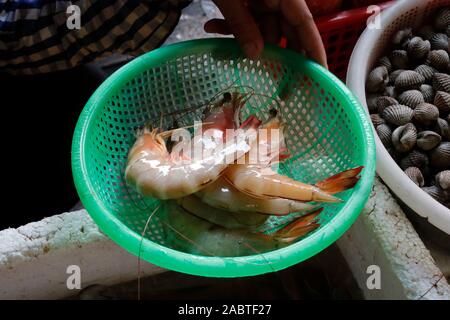 Essen im Kep crab Marktstand. Frische gambas. Kep. Kambodscha. Stockfoto