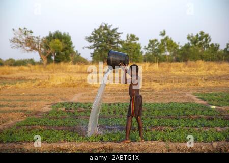 Junge Bewässerung ein Feld in Karsome, Togo. Stockfoto