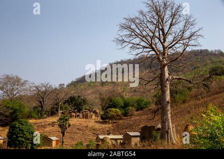 Koutammakou Dorf im Norden von Togo. Stockfoto