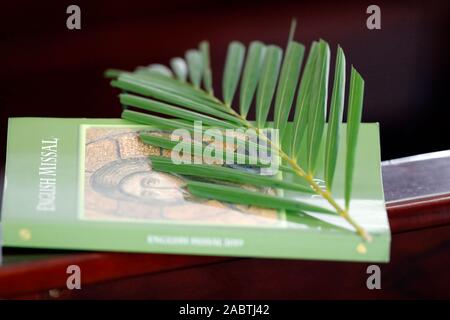 Palmsonntag Messe. Die palm-Zweig ist mit den triumphalen Einzug Jesu in Verbindung gebracht. Hoi An entfernt. Vietnam. Stockfoto