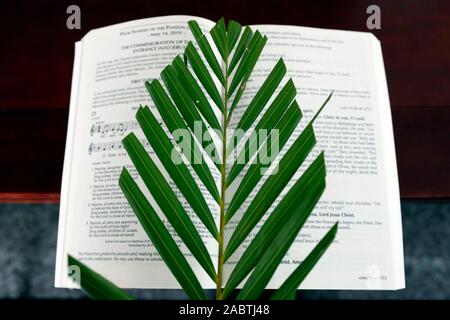 Palmsonntag Messe. Die palm-Zweig ist mit den triumphalen Einzug Jesu in Verbindung gebracht. Hoi An entfernt. Vietnam. Stockfoto