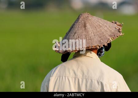 Landwirt trägt eine alte traditionelle palm leaf konische Hut. Porträt. Hoi An. Vietnam. Stockfoto