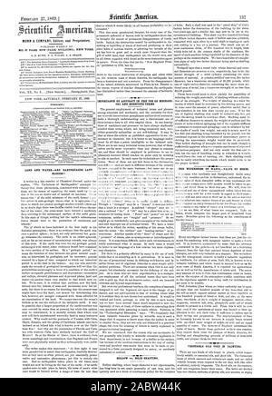 Nr. 37 PARR ZEILE (PARK GEBÄUDE) NEW YORK. Inhalt: 46. Bedeutung DER GENAUIGKEIT BEI DER VERWENDUNG VON MECHANISCHE CAL und wissenschaftlicher Hinsicht. Hohl vs. FESTE SHAFTING. Pflanzliche Öle verwendet in der Malerei. Die BOSHEIT DER ABFÄLLE. WERT DER KNOCHEN. LAND UND WATERARE ERDBEBEN LAND ENTSCHEIDUNGSTRÄGER 1, Scientific American, 1869-02-27 Stockfoto