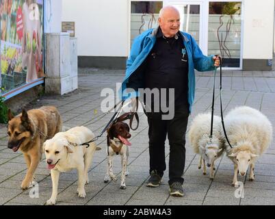 Schkeuditz, Deutschland. Okt, 2019 21. Werner Dreßler wandern mit seinen Tieren, drei Hunden und zwei Schafe im Zentrum der Stadt. Der 79-jährige Meister Werkzeugmacher nimmt die Tiere für einen Spaziergang in der Stadt jeden Tag und ist ein Blickfang für Einheimische und Besucher. Credit: Waltraud Grubitzsch/dpa-Zentralbild/ZB/dpa/Alamy leben Nachrichten Stockfoto