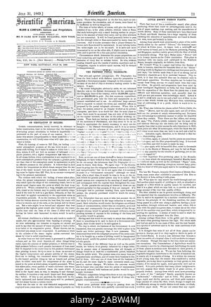 MUNN & UNTERNEHMEN Herausgeber und Eigentümer. Nr. 37 PARK ROW (PARK GEBÄUDE) NEUE TORR. Inhalt: isaffsiusweasexamsawacersmaceme auf Kreislauf in Heizkesseln. Die vorgeschlagenen POSTAL TELEGRAPH. Wenig bekannte FASERPFLANZEN., Scientific American, 1869-07-31 Stockfoto