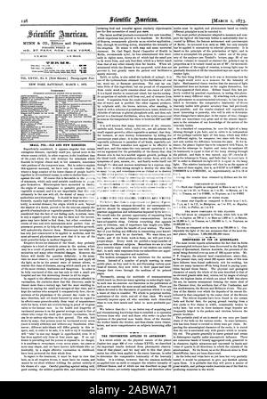 128 Nr. 37 PARK ROW. NEW YORK Inhalt: KLEINE PDX. ALTE UND NEUE Heilmittel. Ein Wort mit dem Reader Denker und Schriftsteller. Das Photometer für die Astronomie. Entdeckungen von Zinn IN QUEENSLAND., Scientific American, 1873-03-01 Stockfoto