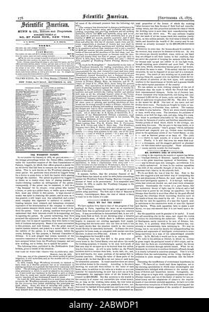 Essen wir das Pferd! Veröffentlicht wöchentlich an Nr. 87 PARK ROW. NEW YORK. Club Preise. Die WOODBURY PATENT. ER. DAWSON'S IDEE DER EVOLUTION., Scientific American, 1875-09-18 Stockfoto