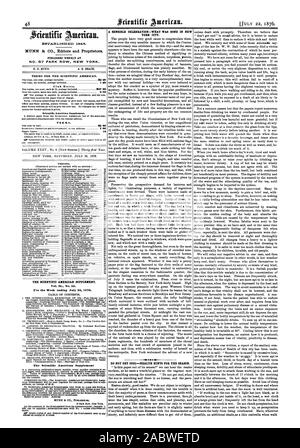 1846. MUNN & Co. Herausgeber und Eigentümer. PlIBLISEIED WÖCHENTLICH ZU BEDINGUNGEN FÜR DEN Scientific American. Club Preise. Begriffe. Der Scientific American Supplement. Inhaltsverzeichnis. Der Scientific American Supplement eine sinnvolle Feier - WAS WURDE GETAN, UM IN NEW YORK CITY. T I4 NICHT BEKOMMEN, COOL - GESUNDHEIT TIPPS FÜR DIE JAHRESZEIT. 59 60, 1876-07-22 Stockfoto