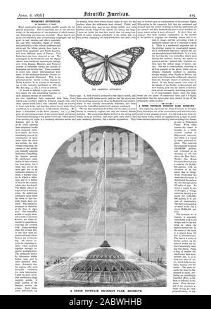 Wandernde Schmetterlinge. Von PROFESSOR C. V. RILEY. Ein BETON BRUNNEN Prospect Park in Brooklyn. Ein BETON BRUNNEN Prospect Park in Brooklyn., Scientific American, 1878-04-06 Stockfoto