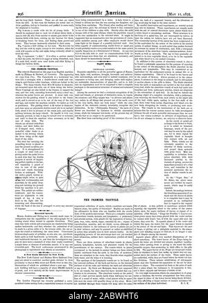 Der Premier Dreirad. Rede vertauscht. Eine neue Körnerelevator in New York. Ansteckung durch E-Mail. Werk verstand. Der PREMIER DREIRAD., Scientific American, 1878-05-11 Stockfoto