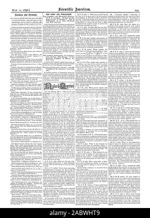 Neue BÜCHER UND PUBLIKATIONEN., Scientific American, 1878-05-11 Stockfoto