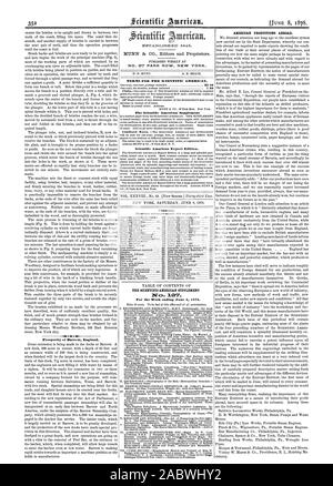 352 Wohlstand von Barrow England. Accientific intric 4 n. 1845. Veröffentlicht wöchentlich an Nr. 37 PARK ROW NEW YORK. 0. D. MITNN. A. E. STRAND. Bedingungen für den Scientific American. 53 20 Ergänzung der Scientific American Scientific American Export Edition. Inhalt. Der SCIENTIFIC AMERICAN SUPPLEMENT für die Woche vom 8. Juni 1878 enden. Amerikanische Produktionen im Ausland., 1878-06-08 Stockfoto