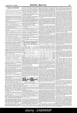 Neue BÜCHER UND PUBLIKATIONEN., Scientific American, 1879-08-16 Stockfoto