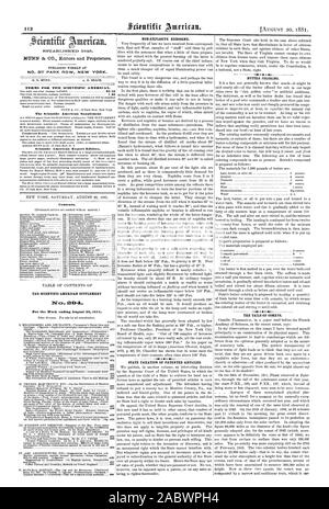 Veröffentlicht wöchentlich an Nr. 87 PARK ROW NEW YORK. Bedingungen für den Scientific American. Ergänzung der Scientific American Scientific American Export Edition. Inhalt. NOLEXPLOSIVE Kerosin. Der BESTEUERUNG VON PATENTIERTEN ARTIKELN. BUTTER FÄRBUNG. Der Schweif von Kometen. Der SCIENTIFIC AMERICAN SUPPLEMENT 219-1 2 ICS TABLISIIEL 1 1845., 1881-08-20 Stockfoto