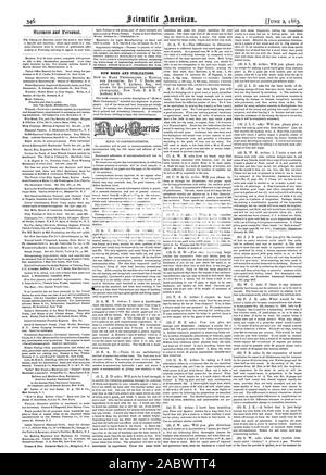 Neue BÜCHER UND PUBLIKATIONEN., Scientific American, 1883-06-11 Stockfoto