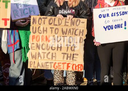 Newcastle upon Tyne, England. UK. 29. November 2019. Klimawandel Protest in Newcastle upon Tyne. Credit: ALAN DAWSON/Alamy leben Nachrichten Stockfoto