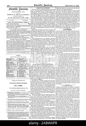 MUNN & Co. Herausgeber und Eigentümer. Nr. 361 BROADWAY NEW YORK. Scientific American Export Edition. St. Petersburg Kanal., 1884-12-06 Stockfoto