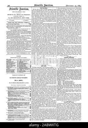 Riemen MATERIAL GOLD LEAF. Kriminelle Ignoranz. Riemenscheiben und Zahnräder. Der SCIENTIFIC AMERICAN SUPPLEMENT Woche 13. Dezember 1884., 1884-12-13 Ende Stockfoto