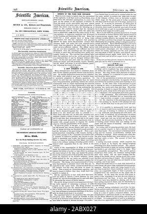 Der Scientific American Supplement für die Woche bis zum 24. Oktober 1885. Seite, 1885-10-24 Stockfoto