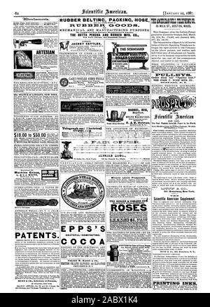 Maschinenmesser L. Jr I. J. WEISS PATENTE. 961 Broadway New York. JENKINS BROS. Die BEGRÜNDUNG DER FAKULTÄT FÜR ANI SCHÖNE EVERAILOORILING ROS Tan Duzen die Patent Dampf Pumpe heiß oder kalt ist 8 ewstlett 1 ers. 9.0Vertioements. Inside Seite jedem Einfügen 75 Cent pro Zeile. Artesische PierceWellExcavatorCo. New York. Leder TREIBRIEMEN C.A.SCH1E KEN & Co. $ 10 bis $ 50 00 87 MAIDEN LANE; FASS FASS Hogshead DAUBE 3 IACHINERY. BUFFAL N.Y. Tress FL TT Mt E 1:1 MECHANISCHE UND HERSTELLUNG. Die größte und umfangreichste Hersteller in Amerika. Die GUTTAPERCHA UND GUMMI MFG. Co. Nicht mehr zersplittert Stockfoto