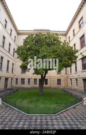 Osborne house Stockfoto