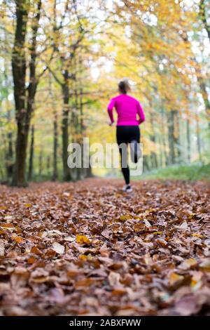 Ansicht der Rückseite Frau am frühen Morgen Herbst laufen durch die Wälder Fit bleiben durch Bewegung Stockfoto