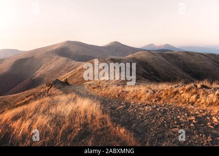 Gelbe Gras zitternd im Wind im Herbst in den Bergen bei Sonnenaufgang. Karpaten, Ukraine. Landschaftsfotografie Stockfoto