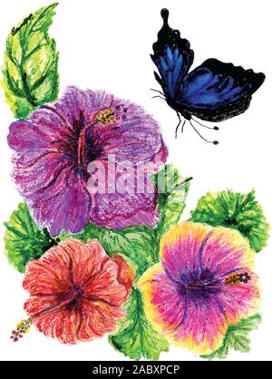 Aquarell von Hibiskus Blume, Hand gezeichnete Illustrationen. Stock Vektor