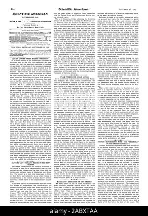 SCIENTIFIC AMERICAN Nr. 361 Broa. dwa. y. New York NEW YORK Samstag, 26. September 1903. Das LEBEN IST MEHR unter modernen Bedingungen ERHÖHT UND TROLLEY TRACKS AUF DER NEUEN BRÜCKEN. Dampfturbine für OZEANRIESEN. Händler' ASSOCIATION AUF CITY TRANSIT. TORPEDO EXPERIMENTE MIT DER 'BELLEISLE' von der britischen Admiralität., 1903-09-26 Stockfoto