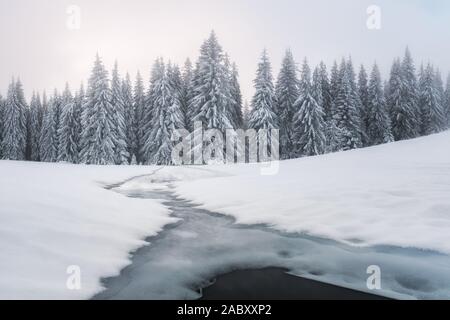 Fantastische Winterlandschaft mit gefrorenen Fluss und verschneite Bäume in nebligen Berge. Karpaten, Ukraine, Europa. Weihnachten Konzept Stockfoto