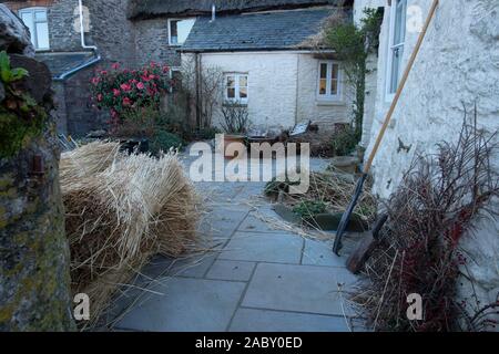 Thatching Haus in South Devon Stockfoto