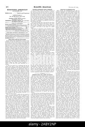 SCIENTIFIC AMERICAN gegründet 1845 MUNN & Co - Herausgeber und Eigentümer wöchentlich Veröffentlicht am Nr. 361 Broadway New York 361 Broadway New York 361 Broadway New York bauen Gatun Schleusen FÜR DIE ZUKUNFT. Vorgeschlagene REGIERUNG WALD bewahrt. Enorme TOD ROLLE UNTER DEN BERGLEUTEN. Vibrationen in der FAHRGASTSCHIFFE., 1907-12-28 Stockfoto