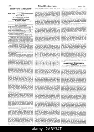 238 Scientific American gegründet 1845 wöchentlich an Nr. 361 Broadway New York 361 Broadway New York 361 Broadway New York DER GEFAHR, DAS DREHKREUZ TÜR veröffentlicht. Die Anhörung im Senat ÜBER DIE ANGEBLICHE MÄNGEL UNSERER MARINE. Scientific American und den Antriebsriemen der unteren Beschichtung unter. Staatliche HILFE IN DER ENTWICKLUNG DER LUFTFAHRT., 1908-04-04 Stockfoto
