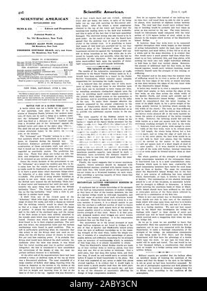 SCIENTIFIC AMERICAN gegründet 1845 wöchentlich an Nr. 361 Broadwa. y veröffentlicht. New York 361 Broadway New York DIE KAPAZITÄT DER U-BAHN. Rechteckige VERGITTERTEN KOMPRESSION MITGLIEDER IN BRÜCKEN. 361 Broadway jetzt York, 1908-06-06 Stockfoto