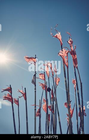 Ragged angeln Markierungsfähnchen gegen die Sonne, Farbe Tonen angewendet. Stockfoto