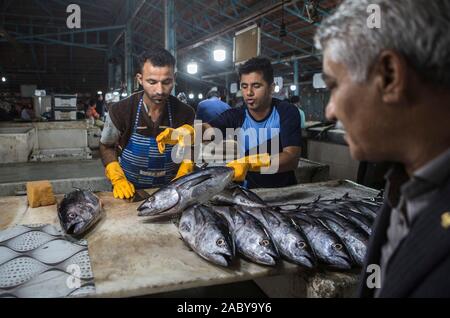 Teheran, Iran. 28 Nov, 2019. Verkäufer Fisch am zentralen Fischmarkt in der Hafenstadt Bandar Abbas vereinbaren, südlichen Iran, Nov. 28, 2019. Credit: Ahmad Halabisaz/Xinhua/Alamy leben Nachrichten Stockfoto