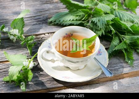 Brennessel Tee mit frischen Brennnesseln Stockfoto