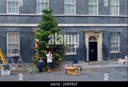 London, Großbritannien. 29 Nov, 2019. Die Downing Street Chriistmas Baum wird aufgestellt und eingerichtet: PjrFoto/Alamy leben Nachrichten Stockfoto