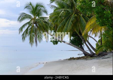 Vilamendhoo, Malediven Stockfoto