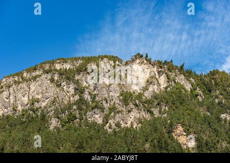 Italienische Alpen, Berge mit grünen Pinienwald und felsigen Wänden, Val di Fiemme, Trentino Alto Adige, Italien, Europa Stockfoto