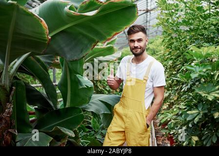 Portrait von Happy attraktive männliche Bauer arbeiten im Gewächshaus Stockfoto