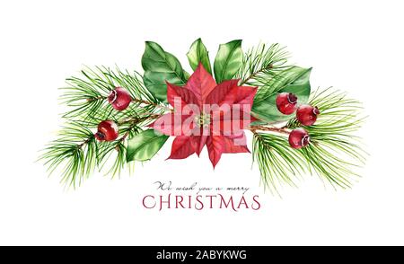 Weihnachten Blumenstrauß mit Stechpalme Beeren, weihnachtsstern Blume, kiefer Filialen. Aquarell von Hand bemalt Abbildung: Arch für die Weihnachtszeit Stockfoto