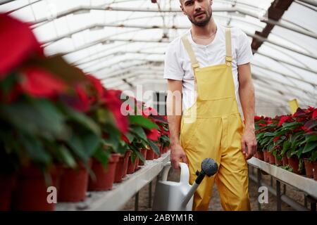 Liebe Abschnitt des Fotos mit schönen jungen Mann im Gewächshaus die Pflege von Blumen Stockfoto