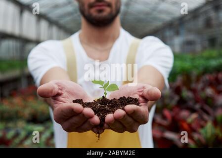 Nahaufnahme Foto. Mens Hände halten den Boden mit kleinen Pflanze in der Mitte Stockfoto