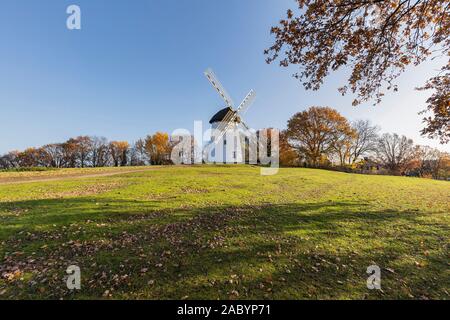 Krefeld-Traar - Ansicht von Egelsberg-Windmill von der Seite mit Herbst farbige Bäume, Nordrhein Westfalen, Deutschland, 29.11.2019 Stockfoto